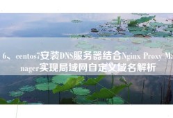6、centos7安装DNS服务器结合Nginx Proxy Manager实现局域网自定义域名解析