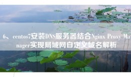 6、centos7安装DNS服务器结合Nginx Proxy Manager实现局域网自定义域名解析
