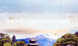 红莓手机（红梅手机壁纸高清图片）