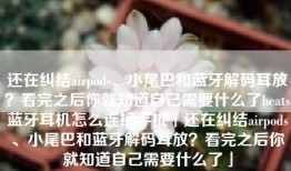还在纠结airpods、小尾巴和蓝牙解码耳放？看完之后你就知道自己需要什么了beats蓝牙耳机怎么连接手机「还在纠结airpods、小尾巴和蓝牙解码耳放？看完之后你就知道自己需要什么了」