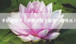 手机锁屏下（手机锁屏下面有一道亮光）