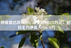 纳睿雷达跌1.71%，成交额7785.75万元，近3日主力净流入-736.40万