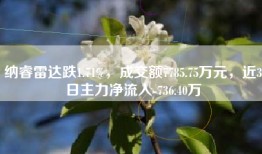 纳睿雷达跌1.71%，成交额7785.75万元，近3日主力净流入-736.40万