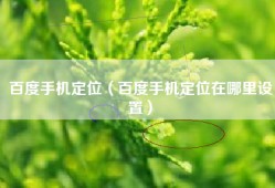 百度手机定位（百度手机定位在哪里设置）