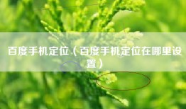 百度手机定位（百度手机定位在哪里设置）