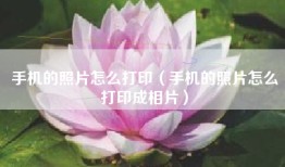 手机的照片怎么打印（手机的照片怎么打印成相片）