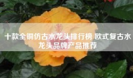 十款全铜仿古水龙头排行榜 欧式复古水龙头品牌产品推荐