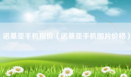 诺基亚手机报价（诺基亚手机图片价格）