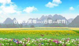 谷歌seo(黑帽seo)(谷歌seo软件)