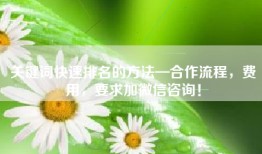 关键词快速排名的方法—合作流程，费用，要求加微信咨询！