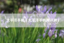 太平洋手机（太平洋手机网评测）