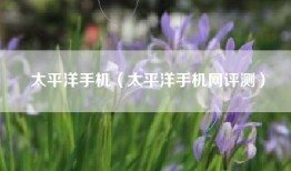 太平洋手机（太平洋手机网评测）