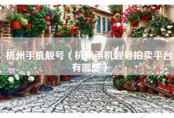 杭州手机靓号（杭州手机靓号拍卖平台有哪些）