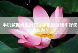 手机数据线没反应（手机数据线不好使怎么办）