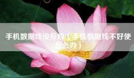 手机数据线没反应（手机数据线不好使怎么办）
