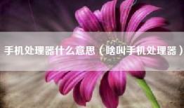 手机处理器什么意思（啥叫手机处理器）
