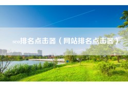 seo排名点击器（网站排名点击器）