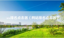 seo排名点击器（网站排名点击器）