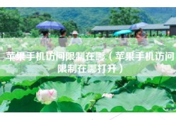 苹果手机访问限制在哪（苹果手机访问限制在哪打开）
