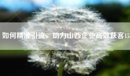 如何精准引流，助力山西企业高效获客150