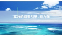 高效的搜索引擎 -磁力狗