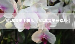 驱动精灵手机版（驱动精灵安卓版）