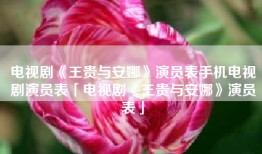 电视剧《王贵与安娜》演员表手机电视剧演员表「电视剧《王贵与安娜》演员表」