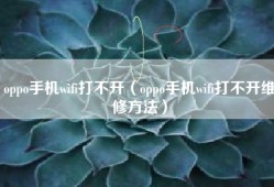 oppo手机wifi打不开（oppo手机wifi打不开维修方法）
