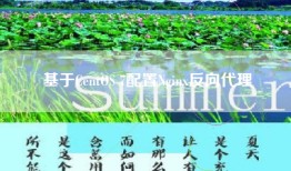 基于CentOS 7配置Nginx反向代理