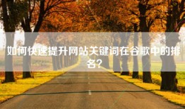 如何快速提升网站关键词在谷歌中的排名？