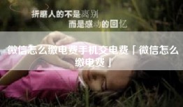 微信怎么缴电费手机交电费「微信怎么缴电费」