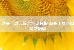 站长工具seo综合查询分析-站长工具查询网站信息