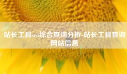 站长工具seo综合查询分析-站长工具查询网站信息