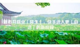 新市井商业「降生」，快手进入更「自洽」的新阶段