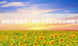 魅族手机助手（魅族手机助手怎么唤醒）