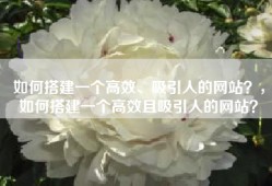 如何搭建一个高效、吸引人的网站？，如何搭建一个高效且吸引人的网站？