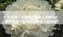 如何搭建一个高效、吸引人的网站？，如何搭建一个高效且吸引人的网站？