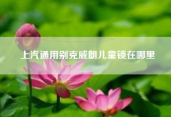上汽通用别克威朗儿童锁在哪里