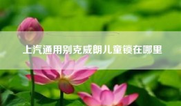 上汽通用别克威朗儿童锁在哪里