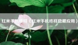 红米手机咋样（红米手机咋样隐藏应用）