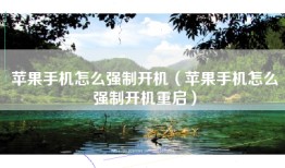 苹果手机怎么强制开机（苹果手机怎么强制开机重启）