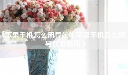 苹果手机怎么用导航（苹果手机怎么用导航查路线）