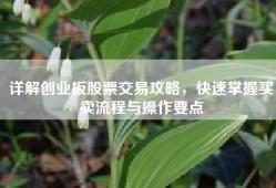 详解创业板股票交易攻略，快速掌握买卖流程与操作要点