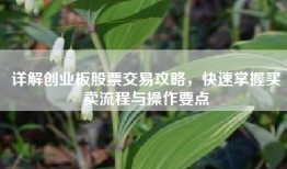详解创业板股票交易攻略，快速掌握买卖流程与操作要点