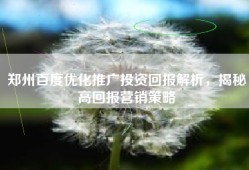 郑州百度优化推广投资回报解析，揭秘高回报营销策略