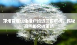 郑州百度优化推广投资回报解析，揭秘高回报营销策略