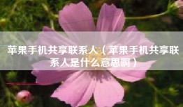 苹果手机共享联系人（苹果手机共享联系人是什么意思啊）