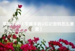 苹果手机l（苹果手机ld忘记密码怎么重置）