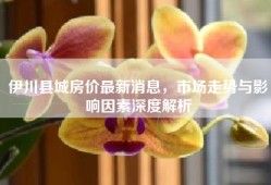 伊川县城房价最新消息，市场走势与影响因素深度解析