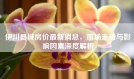 伊川县城房价最新消息，市场走势与影响因素深度解析